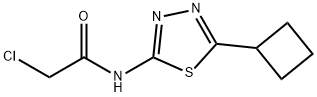 2-氯-N-(5-环丁基-1,3,4-噻二唑-2-基)乙酰胺 结构式