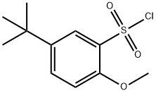 5-叔丁基-2-甲氧基-苯磺酰氯 结构式