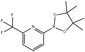 6-(三氟甲基)吡啶-2-硼酸频哪醇酯 结构式