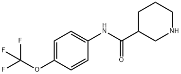 N-(4-三氟甲氧基苯基)哌啶-3-甲酰胺 结构式