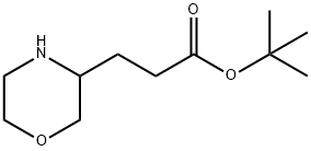3-(吗啉-3-基)丙酸叔丁酯 结构式