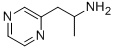 1-(Pyrazin-2-yl)propan-2-amine