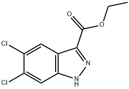 Ethyl5,6-dichloro-1H-indazole-3-carboxylate