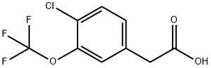 4-氯-3-三氟甲氧基苯基乙酸 结构式
