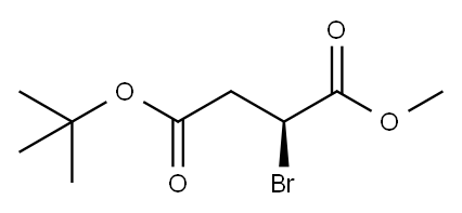 (S)-4-叔丁基 1-甲基 2-溴琥珀酸酯 结构式
