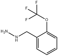 肼,[ [ 2(三氟甲氧基)苯基]甲基]— 结构式