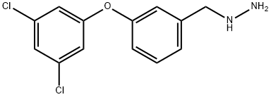 3-(3,5-DICHLORO-PHENOXY)-BENZYL-HYDRAZINE 结构式
