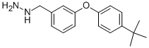 3-(4-TERT-BUTYL-PHENOXY)-BENZYL-HYDRAZINE 结构式