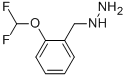 1-([2-(difluoromethoxy)phenyl]methyl)hydrazine 结构式