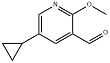 5-环丙基-2-甲氧基烟碱醛 结构式