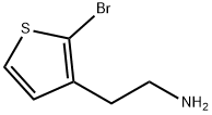 2-(2-溴噻吩-3-基)乙胺 结构式