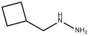 1-(cyclobutylmethyl)hydrazine 结构式
