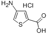 4-氨基-2-噻吩羧酸盐酸盐 结构式