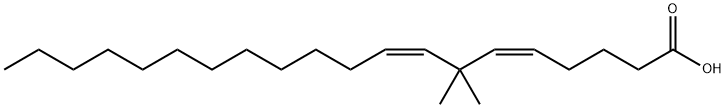 脂氧合酶 结构式