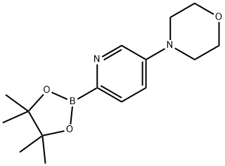 4-(6-(4,4,5,5-tetraMethyl-1,3,2-dioxaborolan-2-yl)pyridin-3-yl)Morpholine 结构式