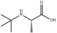 L-Alanine, N-(1,1-dimethylethyl)- (9CI) 结构式