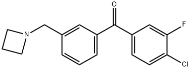 (3-(氮杂环丁烷-1-基甲基)苯基)(4-氯-3-氟苯基)甲酮 结构式