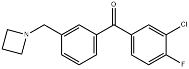 (3-(氮杂环丁烷-1-基甲基)苯基)(3-氯-4-氟苯基)甲酮 结构式