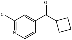 (2-氯吡啶-4-基)(环丁基)甲酮 结构式