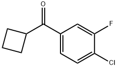 4-CHLORO-3-FLUOROPHENYL CYCLOBUTYL KETONE 结构式