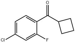 4-CHLORO-2-FLUOROPHENYL CYCLOBUTYL KETONE 结构式