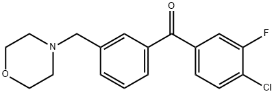 (4-氯-3-氟苯基)(3-(吗啉甲基)苯基)甲酮 结构式