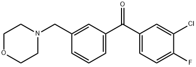 (3-氯-4-氟苯基)(3-(吗啉甲基)苯基)甲酮 结构式