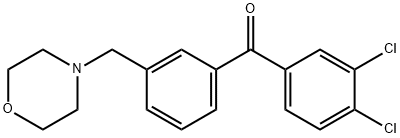 (3,4-二氯苯基)(3-(吗啉甲基)苯基)甲酮 结构式