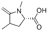 Proline, 1,4-dimethyl-5-methylene- (7CI) 结构式