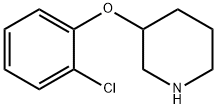 3-(2-氯苯氧基)哌啶 结构式