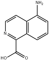Isoquinaldic acid, 5-amino- (7CI) 结构式