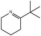 6-叔丁基-2,3,4,5-四氢吡啶 结构式