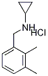 N-(2,3-二甲基苄基)环丙胺盐酸盐 结构式