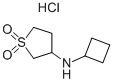 Cyclobutyl-(1,1-dioxo-tetrahydrothiophen-3-yl)-amine hydrochloride 结构式
