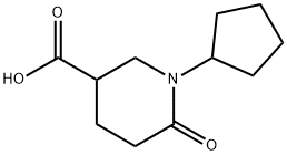 1-环戊基-6-氧代哌啶-3-羧酸 结构式