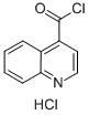 4-QUINOLINECARBONYL CHLORIDE,HYDROCHLORIDE(1:1) 结构式