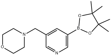 4-((5-(4,4,5,5-四甲基-1,3,2-二氧杂环戊硼烷-2-基)吡啶-3-基)甲基)吗啉 结构式