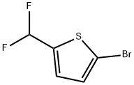 2-Bromo-5-(difluoromethyl)thiophene 结构式