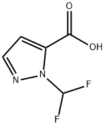 2-二氟甲基-2H-吡唑-3-羧酸 结构式
