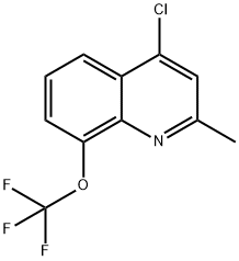 4-CHLORO-2-METHYL-8-TRIFLUOROMETHOXYQUINOLINE 结构式