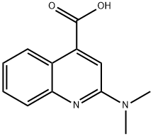 2-(DiMethylaMino)quinoline-4-carboxylic acid 结构式