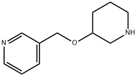 3-[(PIPERIDIN-3-YLOXY)METHYL]PYRIDINE 结构式