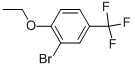 2-Bromo-1-ethoxy-4-trifluoromethyl-benzene 结构式