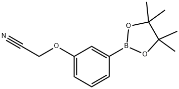 3-CYANOMETHOXYPHENYLBORONIC ACID, PINACOL ESTER 结构式