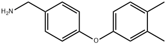 [4-(3,4-dimethylphenoxy)phenyl]methanamine 结构式