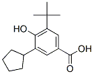3-cyclopentyl-5-tert-butyl-4-hydroxybenzoic acid 结构式