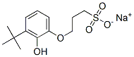 sodium 3-[(1,1-dimethylethyl)-2-hydroxyphenoxy]propanesulphonate 结构式