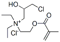 [3-chloro-2-hydroxypropyl]diethyl[2-[(2-methyl-1-oxoallyl)oxy]ethyl]ammonium chloride 结构式