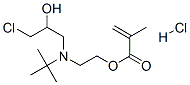 2-[(tert-butyl)(3-chloro-2-hydroxypropyl)amino]ethyl methacrylate hydrochloride 结构式