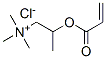 trimethyl-2-[(1-oxoallyl)oxy]propylammonium chloride 结构式
